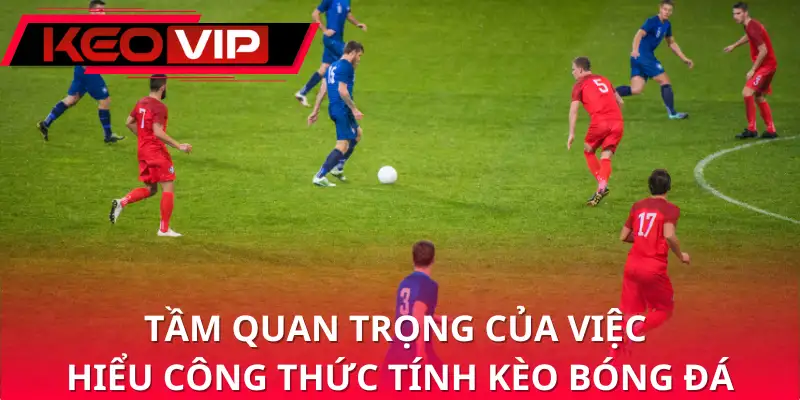 Tầm quan trọng của việc hiểu công thức tính kèo bóng đá